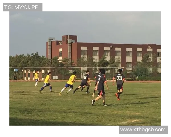 足坛巨星风云录从绿茵争霸到人生传奇全景展现